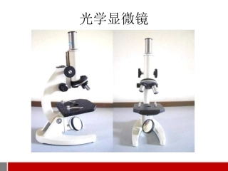 七年级生物上册-练习使用显微镜4课件-人教新课标版