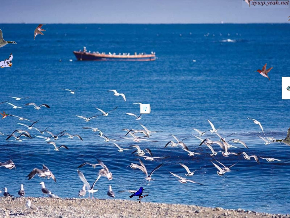 条形统计图、扇形统计图_第2页