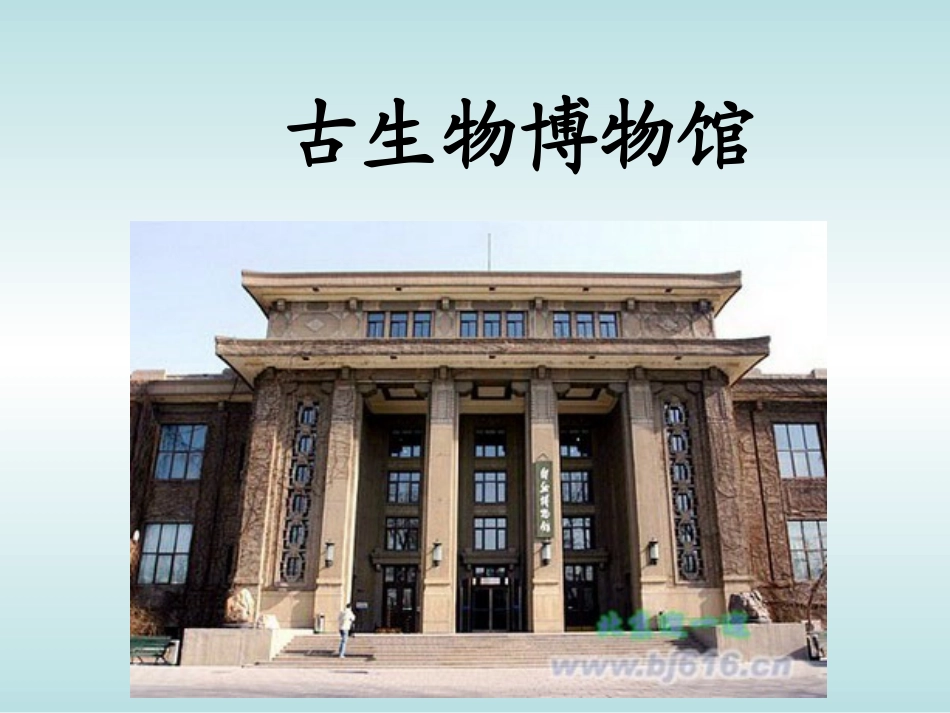 33活化石(张位根)_第1页