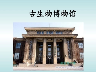 33活化石(张位根)
