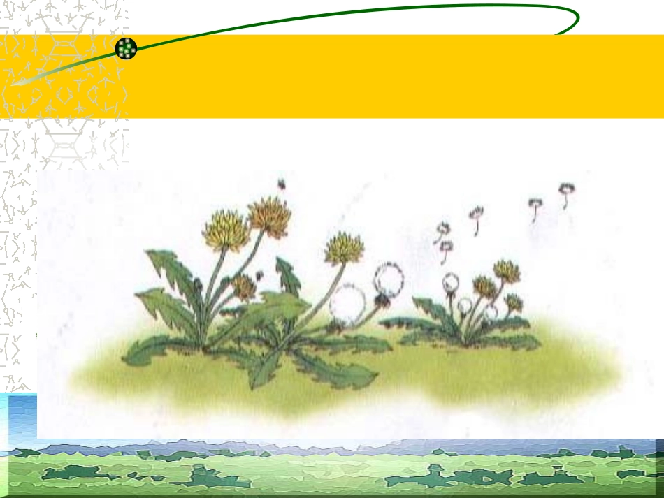 2《金色的草地》ppt课件1_第3页