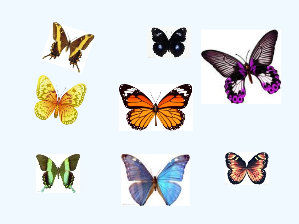 小学数学北师大2011课标版三年级轴对称(二)-(2)_第2页