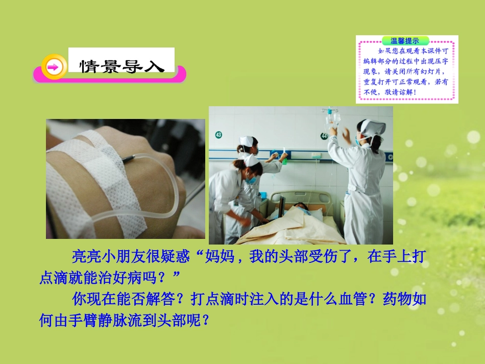 七年级生物下册-第9章-第2节-血液循环(二)课件-北师大版_第2页