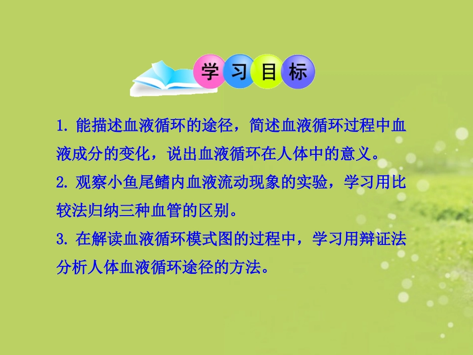 七年级生物下册-第9章-第2节-血液循环(二)课件-北师大版_第3页