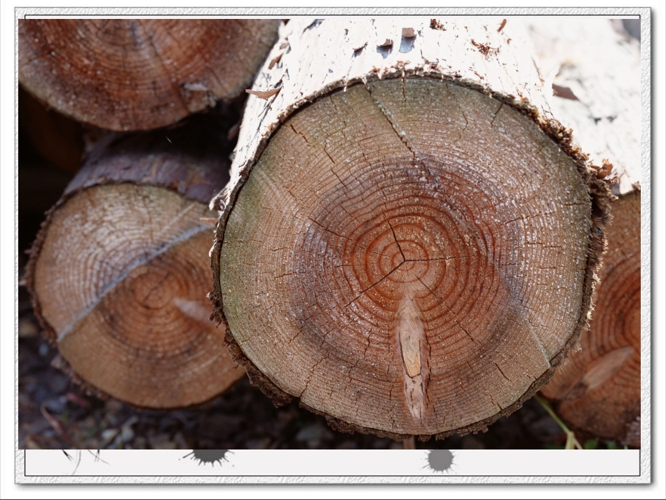 截一个几何体_第3页