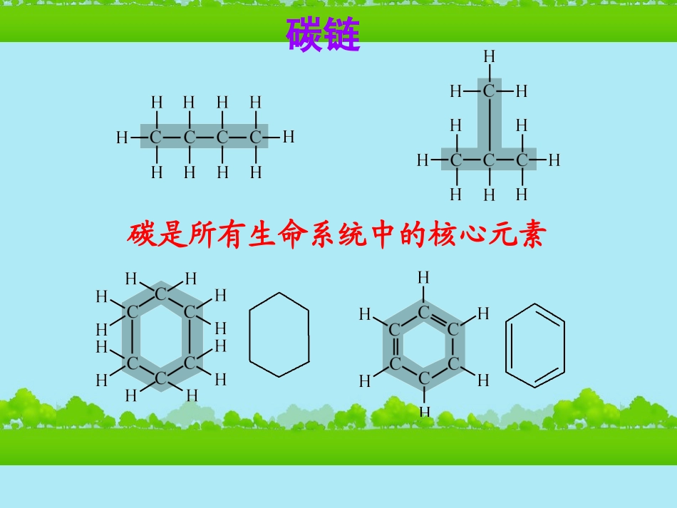 高中生物《有机化合物与生物大分子》课件12-浙科版必修1_第3页