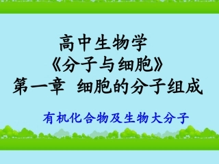 高中生物《有机化合物与生物大分子》课件12-浙科版必修1