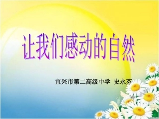 用形象说话——文学写作-(2)