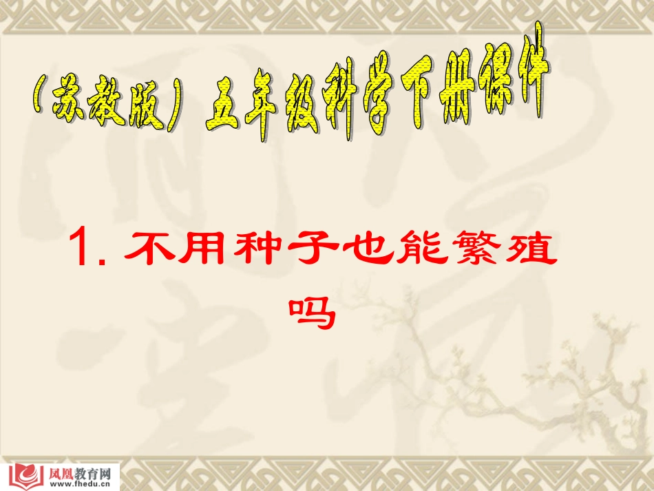 不用种子也能繁殖_第1页