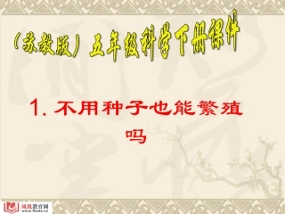 不用种子也能繁殖