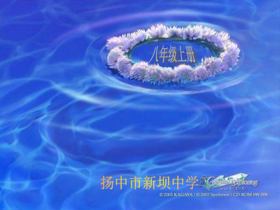 人体的支持与运动1_第1页