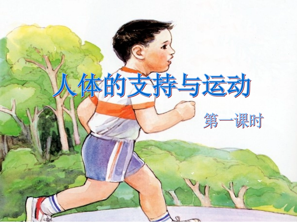 人体的支持与运动1_第2页