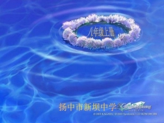 人体的支持与运动1