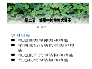 生物大分子的基本骨架
