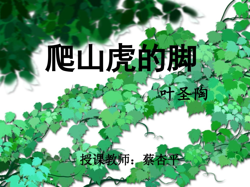 6-爬山虎的脚_第1页