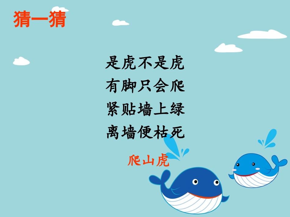 6-爬山虎的脚_第2页