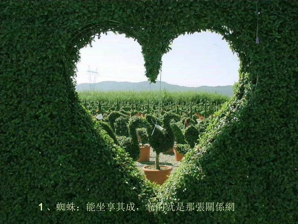 读20年书不如读懂这些话23页-带背景音乐人生哲理人生领悟ppt幻灯片投影片课件精品专题素材_第2页