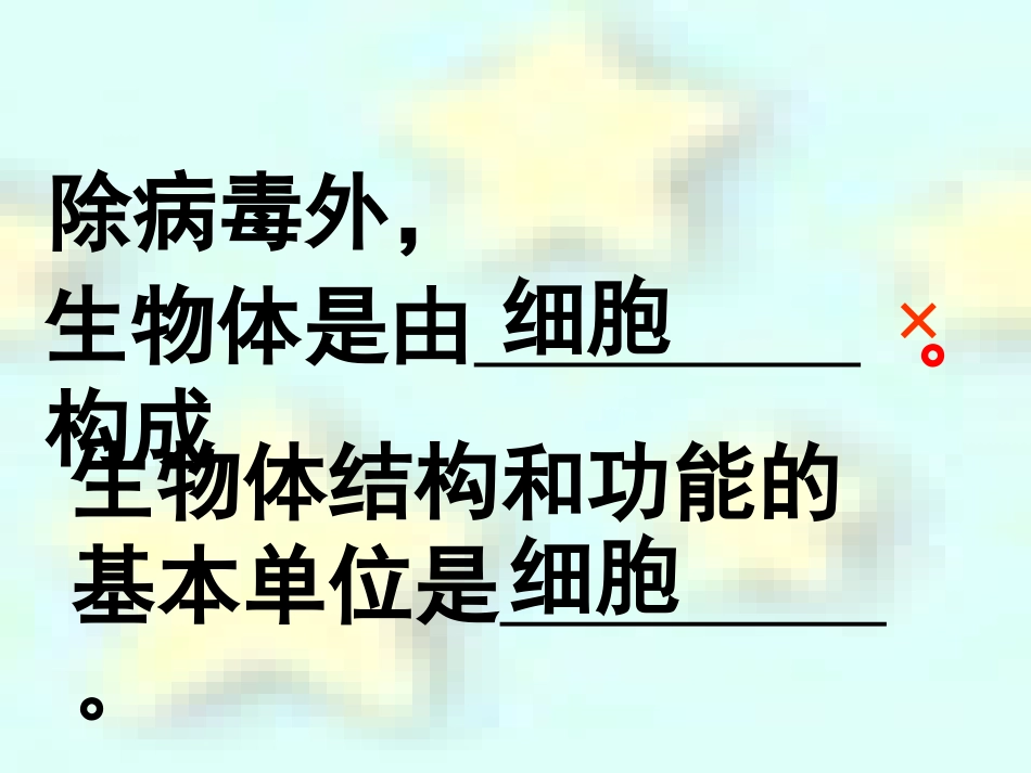 第四章第一节单细胞生物_第2页