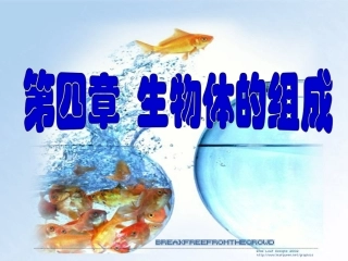 第四章第一节单细胞生物