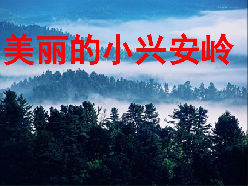 美丽的小兴安岭OK_第1页