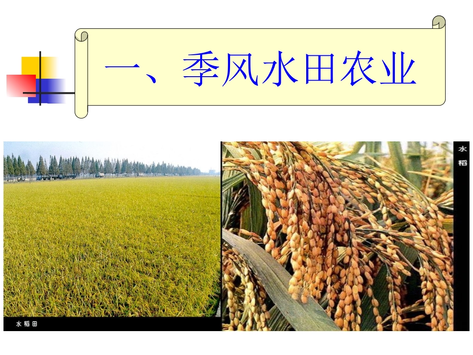 《以种植业为主的农业地域类型》课件1_第2页