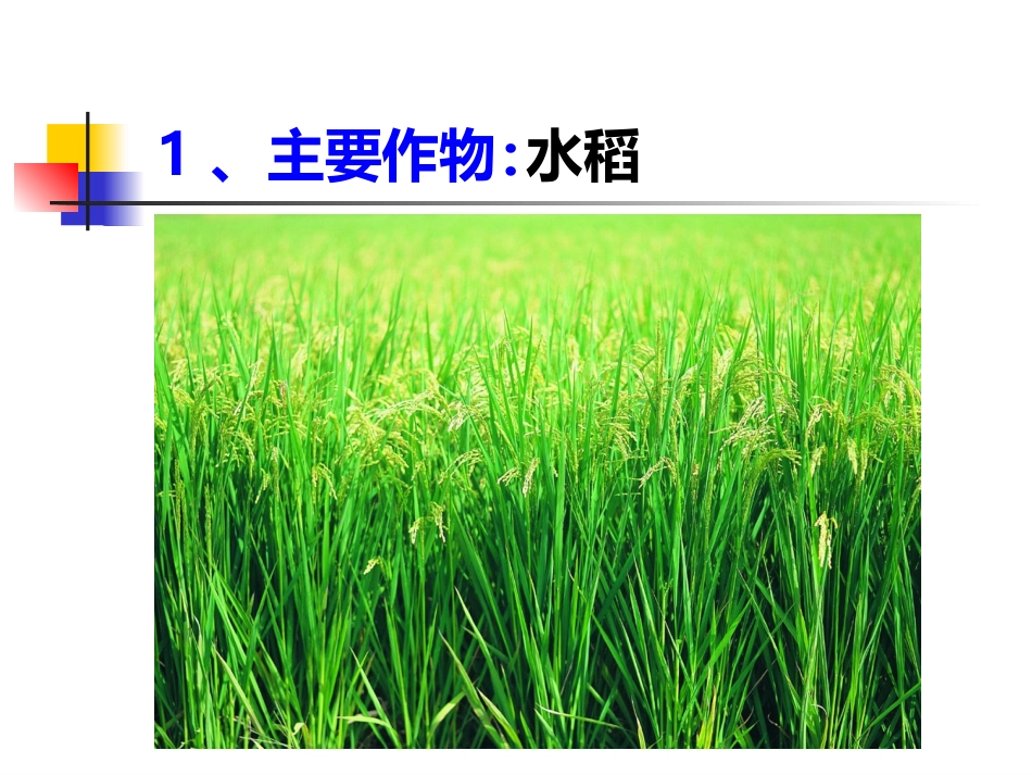 《以种植业为主的农业地域类型》课件1_第3页