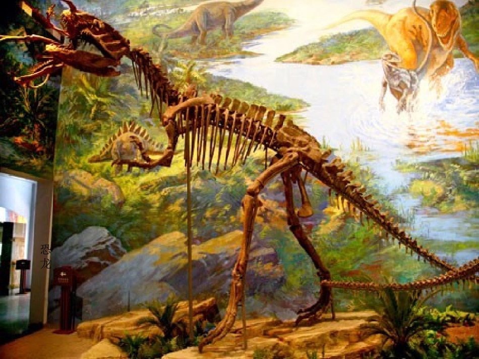 《活化石》课件3_第2页