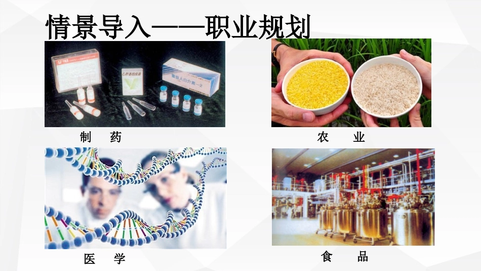 与生物学有关的职业-生物技术产业的研发人员_第2页