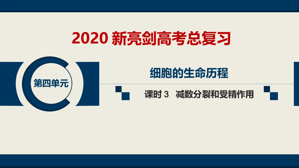 第四单元--课时3--减数分裂和受精作用_第1页