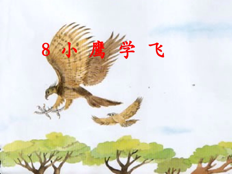 《小鹰学飞》课件_第1页