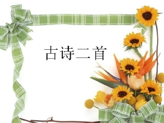 3古诗：寻隐者不遇