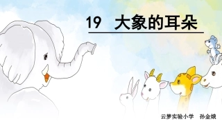 19大象的耳朵