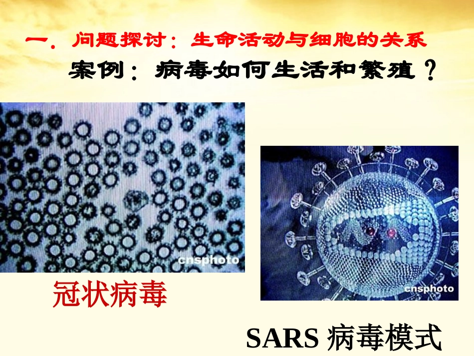 云南省红河州弥勒县庆来学校高一生物《第1章第1节《从生物圈到细胞》课件_第3页