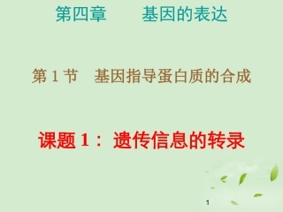 高中生物-4.1.1《遗传信息的转录》课件-新人教版必修2-