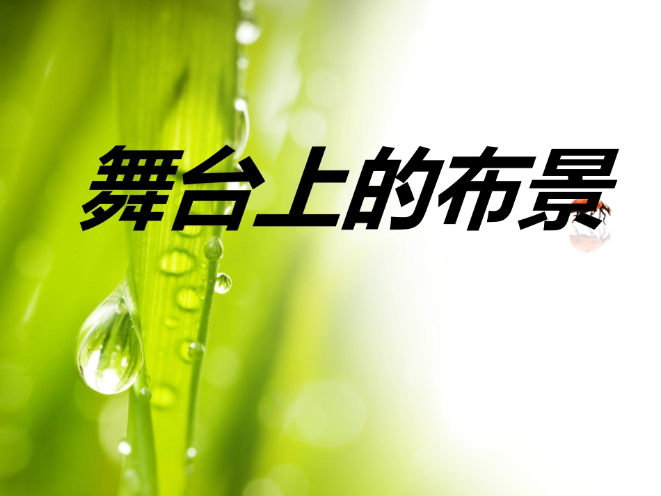 第19课舞台上的布景_第1页