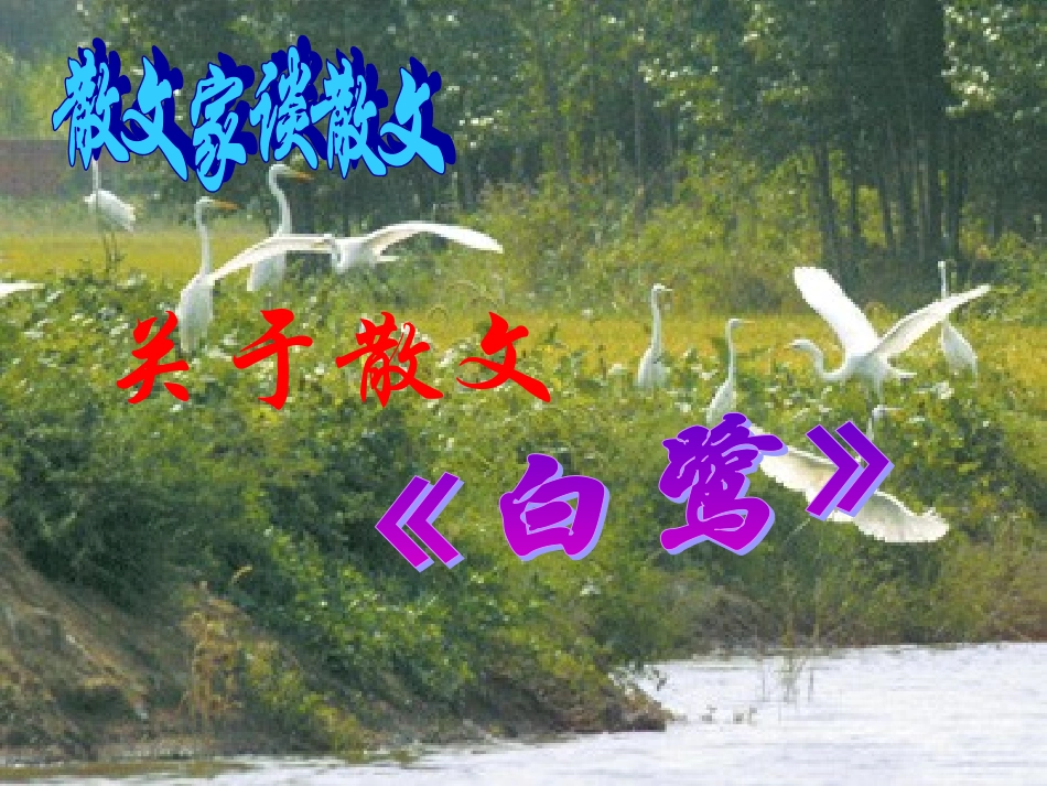 散文家谈散文_第2页