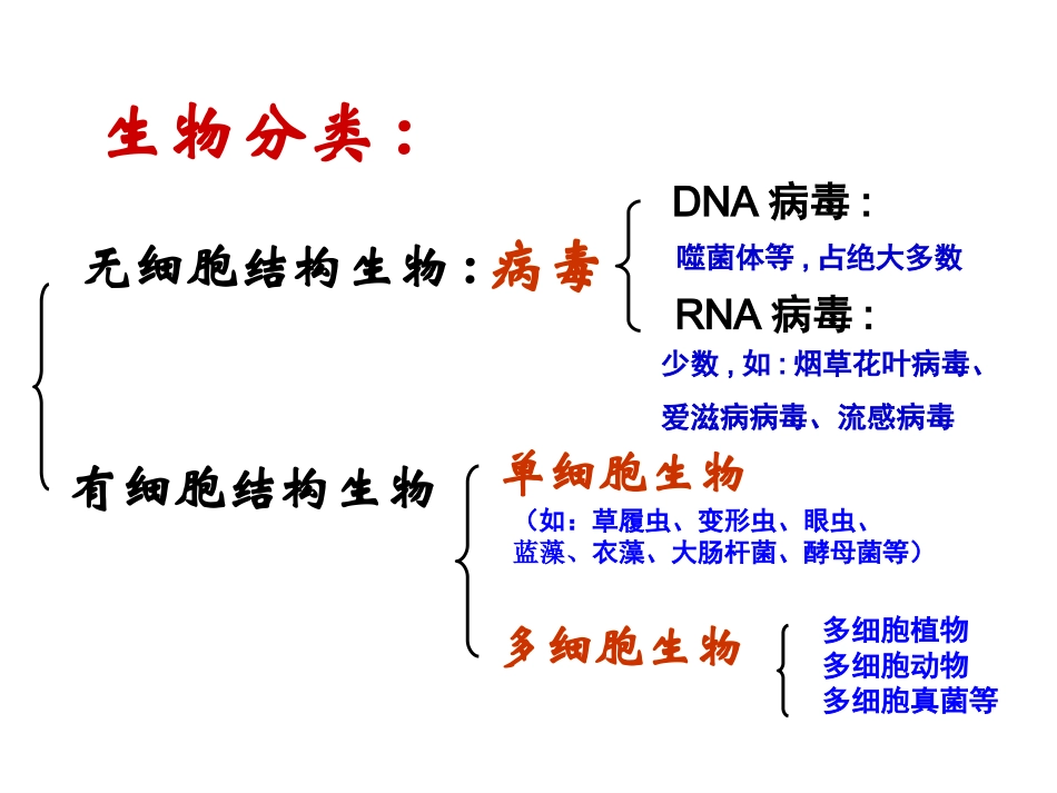第一章-走近细胞教学课件_第3页