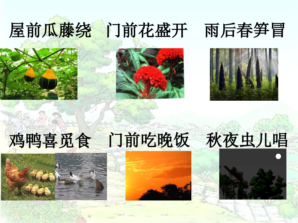 四年级语文下册第六组21.乡下人家第一课时课件_第1页
