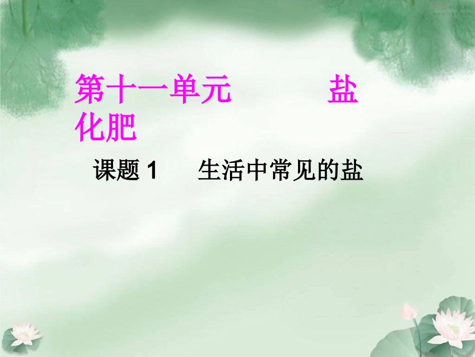 11.1生活中常见的盐1_第2页