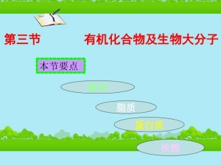 高中生物《有机化合物与生物大分子》课件9-浙科版必修1