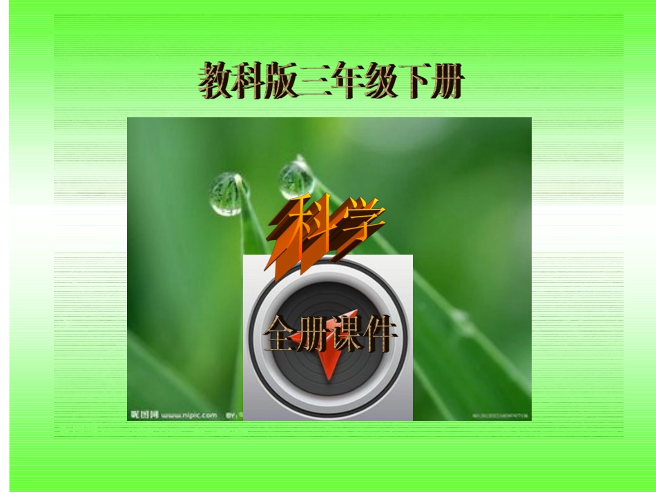 1-观察春天的植物_第1页