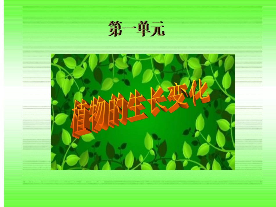 1-观察春天的植物_第2页