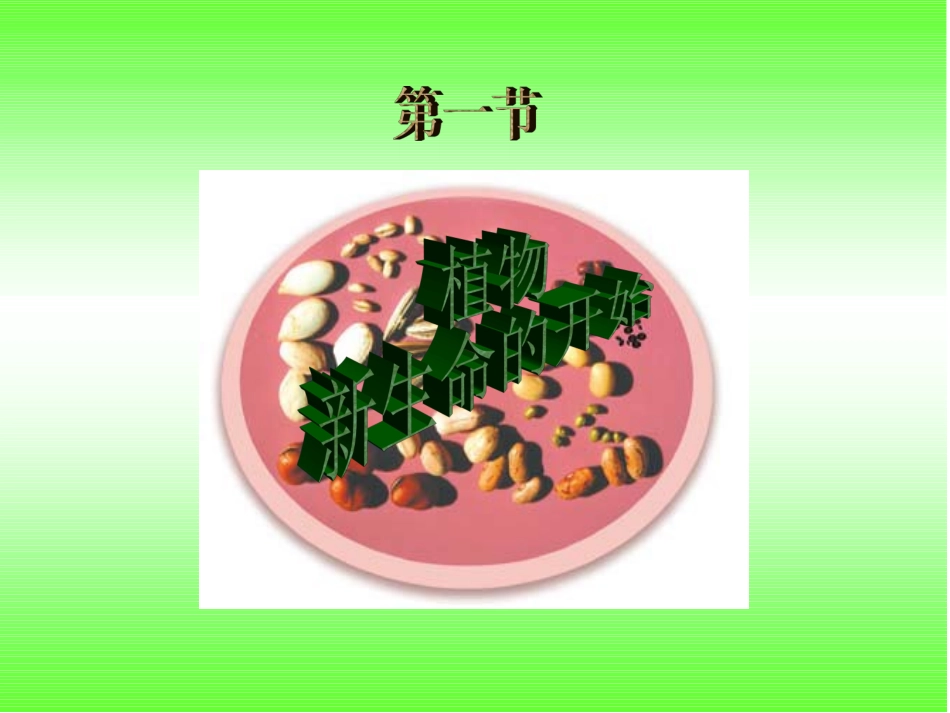 1-观察春天的植物_第3页