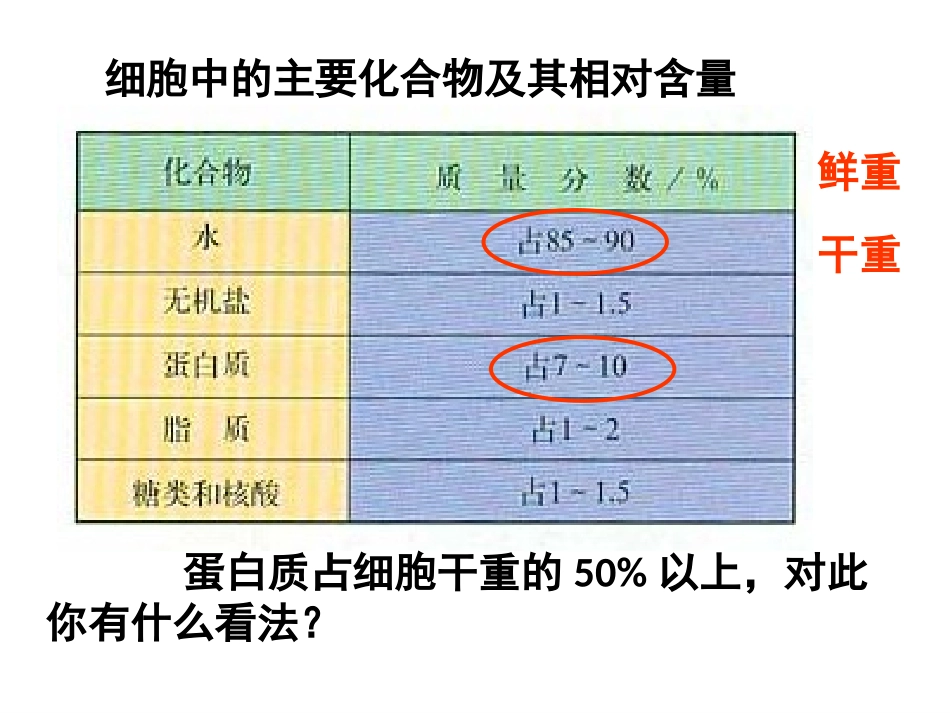 生命活动的主要承担者——蛋白质(正式课件)_第1页