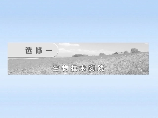 2012届高考生物一轮复习-专题1体统发酵技术的应用精品课件-新人教版选修1