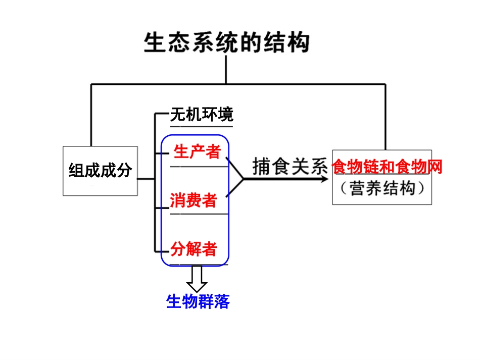 三生态系统中的物质循环_第3页