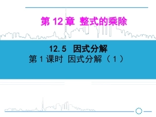 12.5-因式分解-(2)