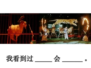 小学语文一年级课件-看马戏-沪教版