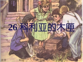 26科利亚的木匣