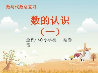 六年级数学下册第六单元《总复习---数的认识》.